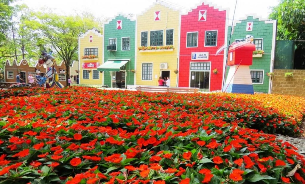 Flores de Holambra-SP