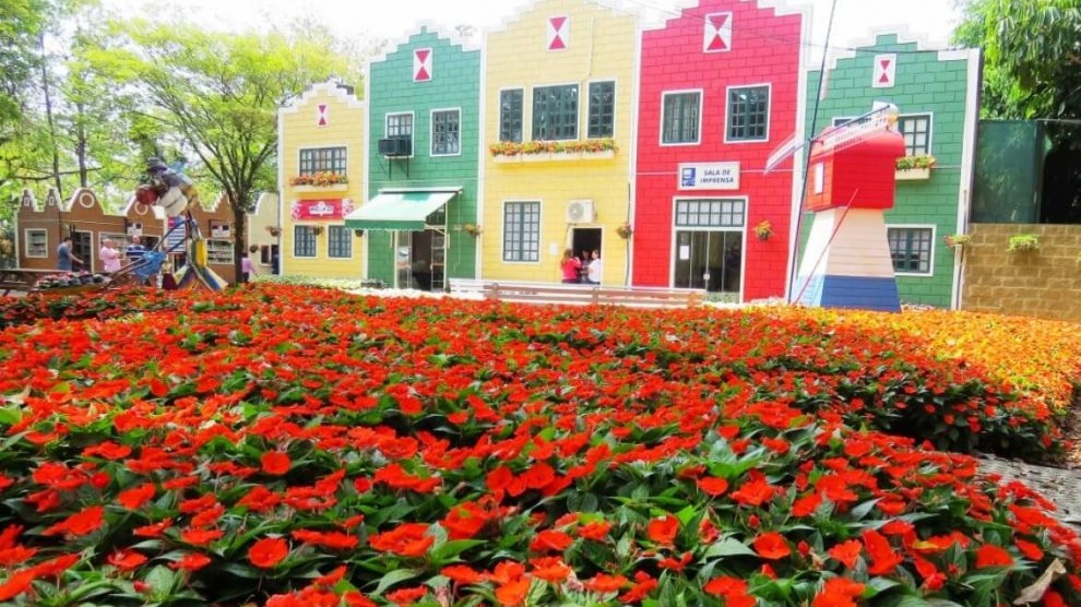 Quando visitar Holambra - A Cidade das Flores | iFriend