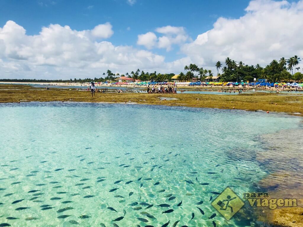 Vista da Praia de Carneiros - Tamandaré-PE
