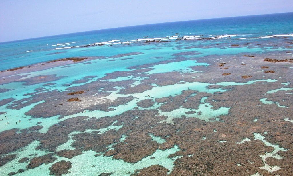 Arrecifes da Praia dos Carneiros