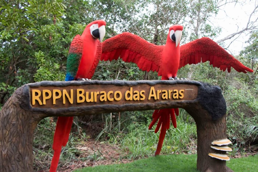 Buraco das Araras em Bonito