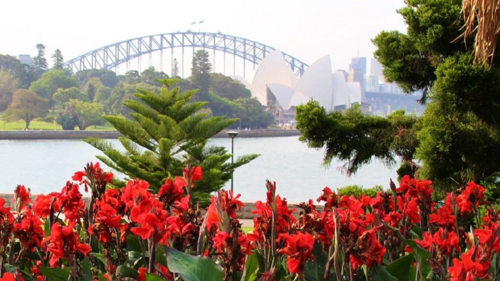 Jardim Botânico Real-sydney-