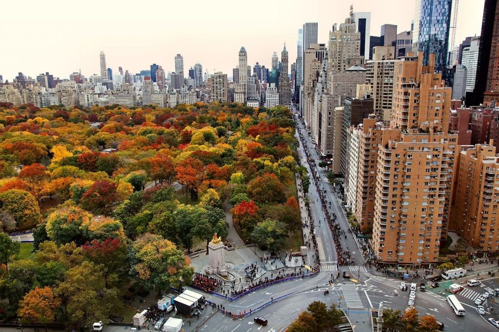 Central park - Nova iorque