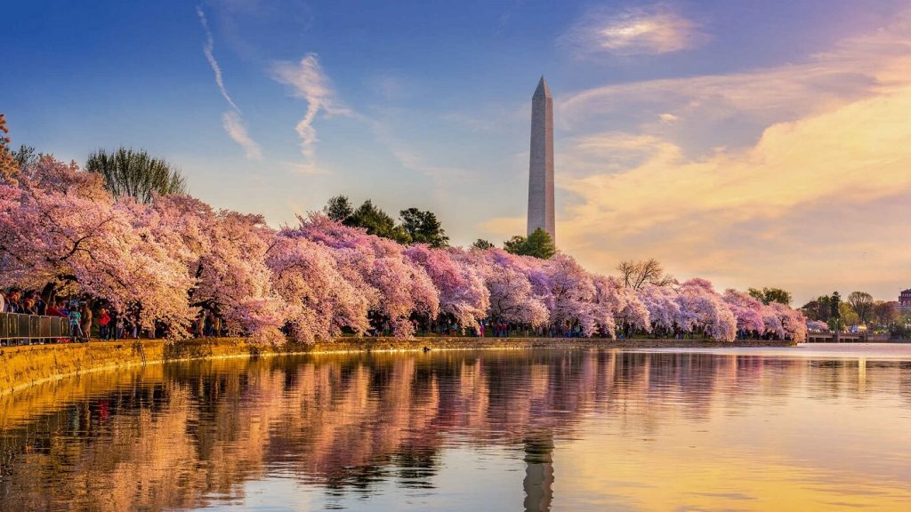 Rio Potomac