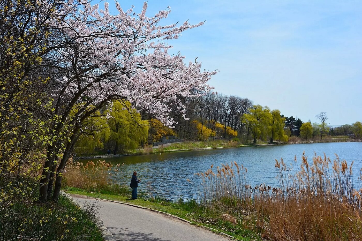 High Park Toronto