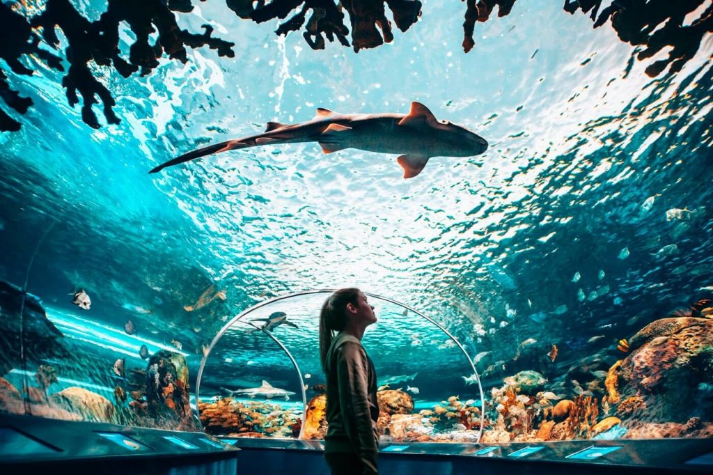 Ripleys Aquarium