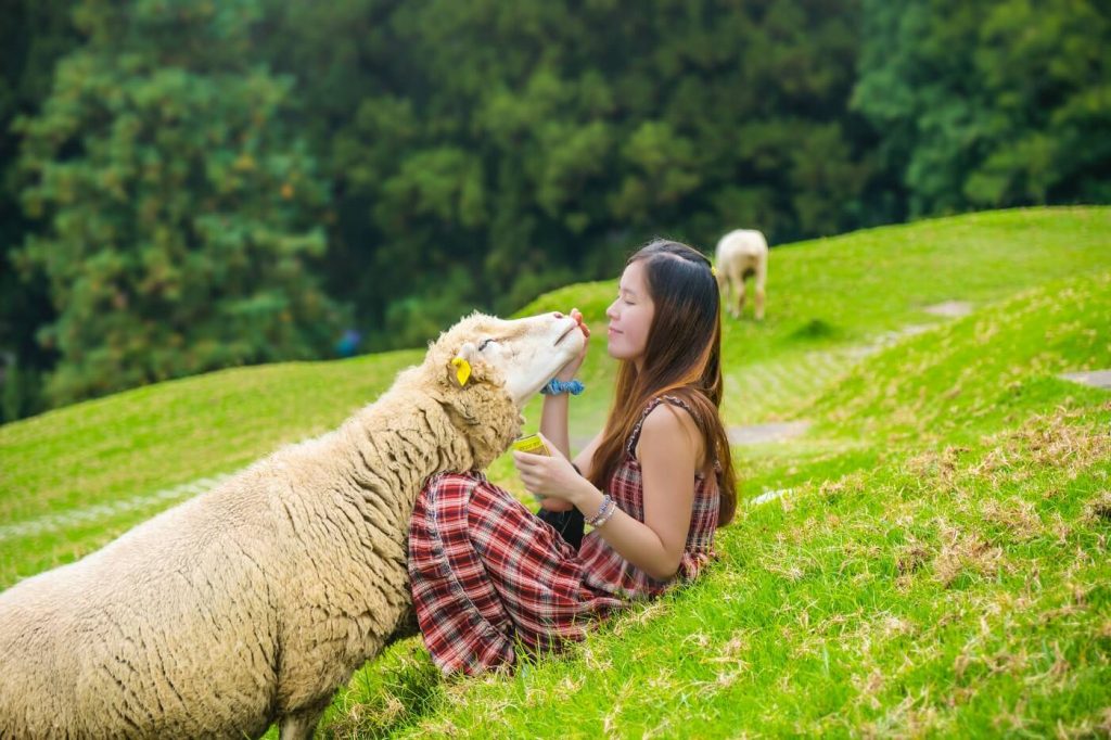 turismo sustentável