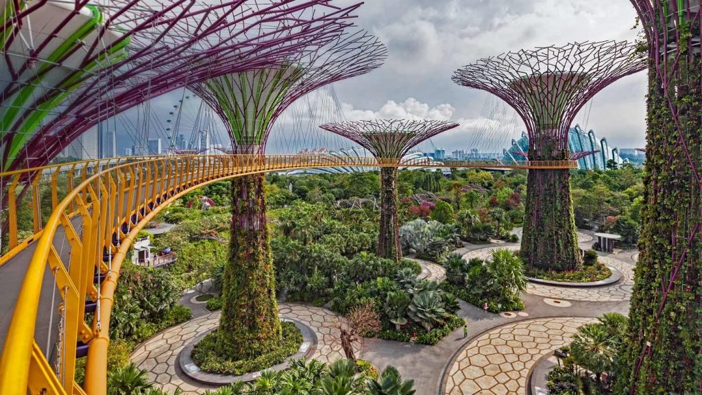 Singapore Bothanic Gardens