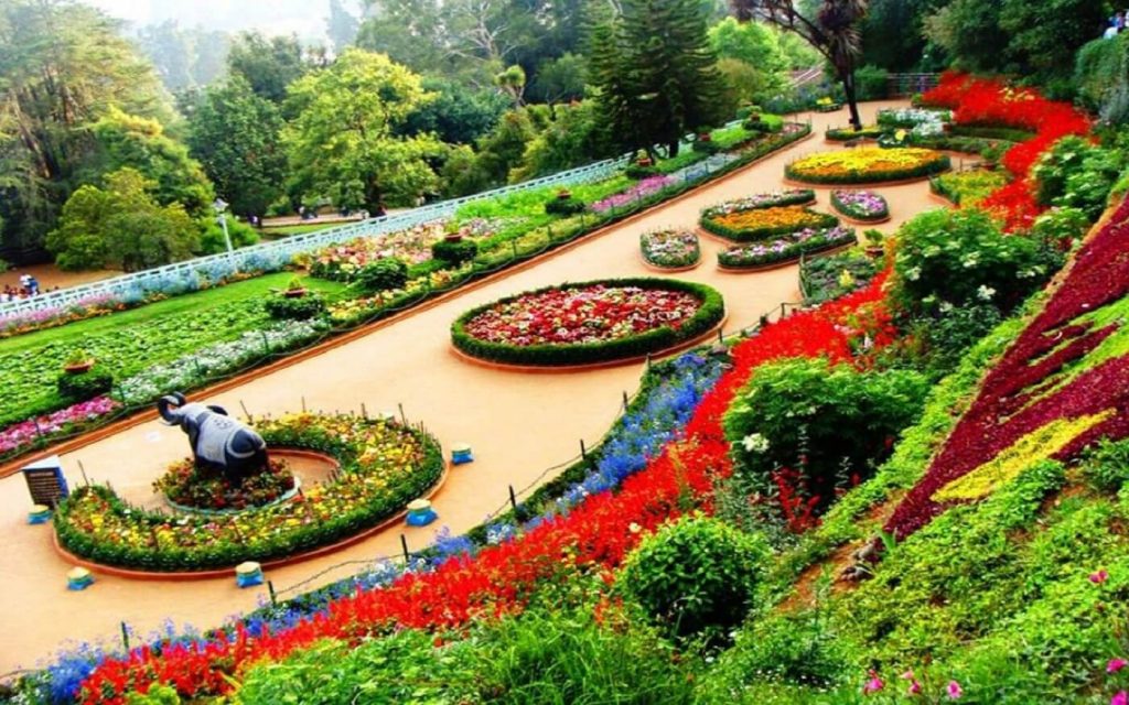 Singapore Bothanic Gardens