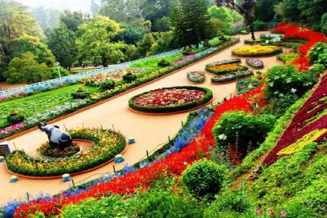 Singapore Bothanic Gardens