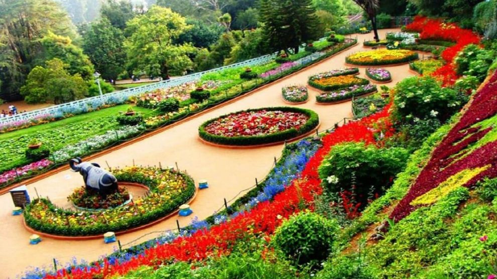 Singapore Bothanic Gardens