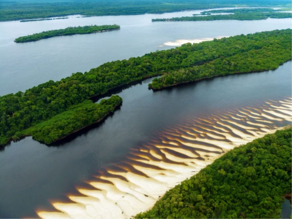 Anavilhanas - Amazônia brasileira