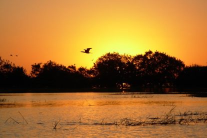 Por do sol no Pantanal