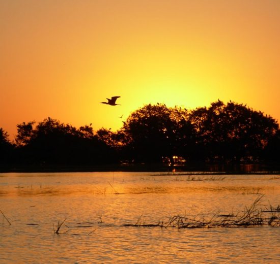Por do sol no Pantanal