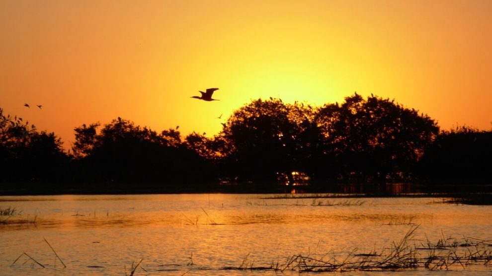 Por do sol no Pantanal