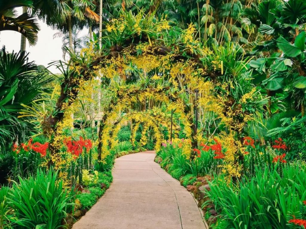 kirstenbosch-jardim-botânico