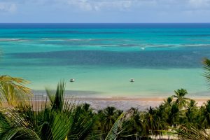 Ecoturismo em Maragogi