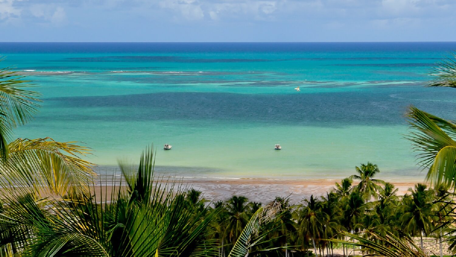 Ecoturismo em Maragogi
