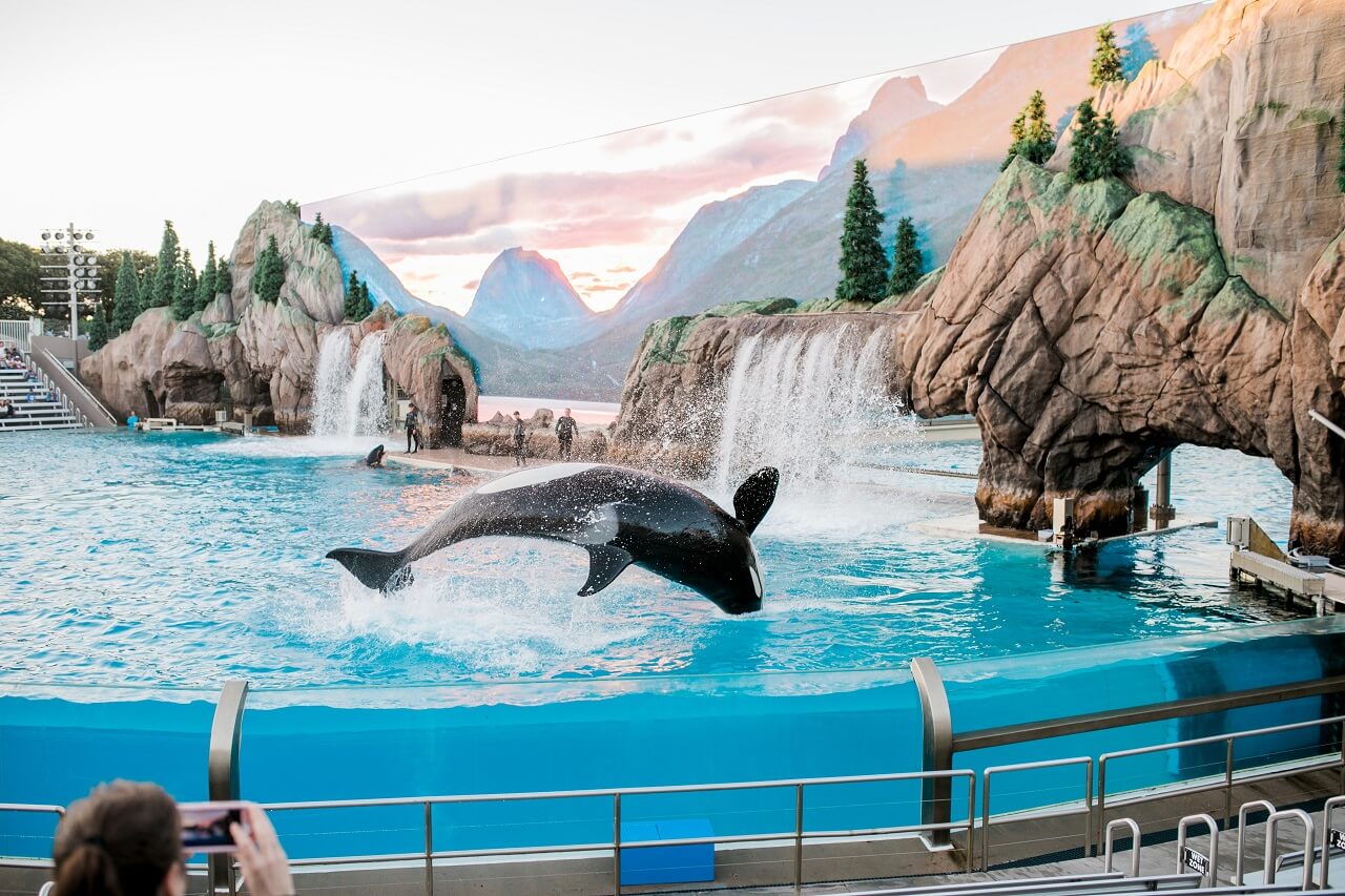 SeaWorld - Orlando - Florida