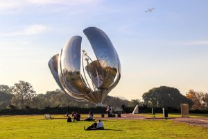 floralis-generica-capa-ifriend