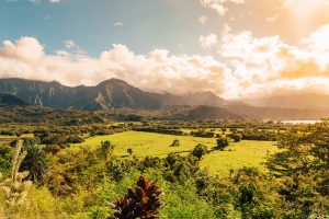 ilha-kauai-ifriend