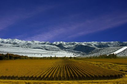 vinhedos-mendoza-argentina-ifriend