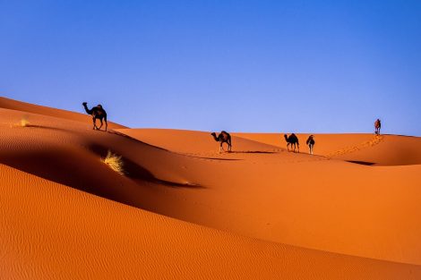 Deserto do Saara - África