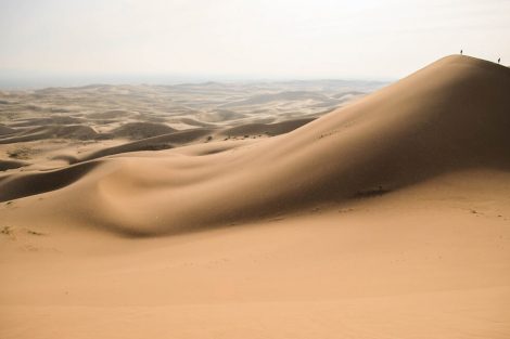Khongoryn Els - Deserto de Gobi